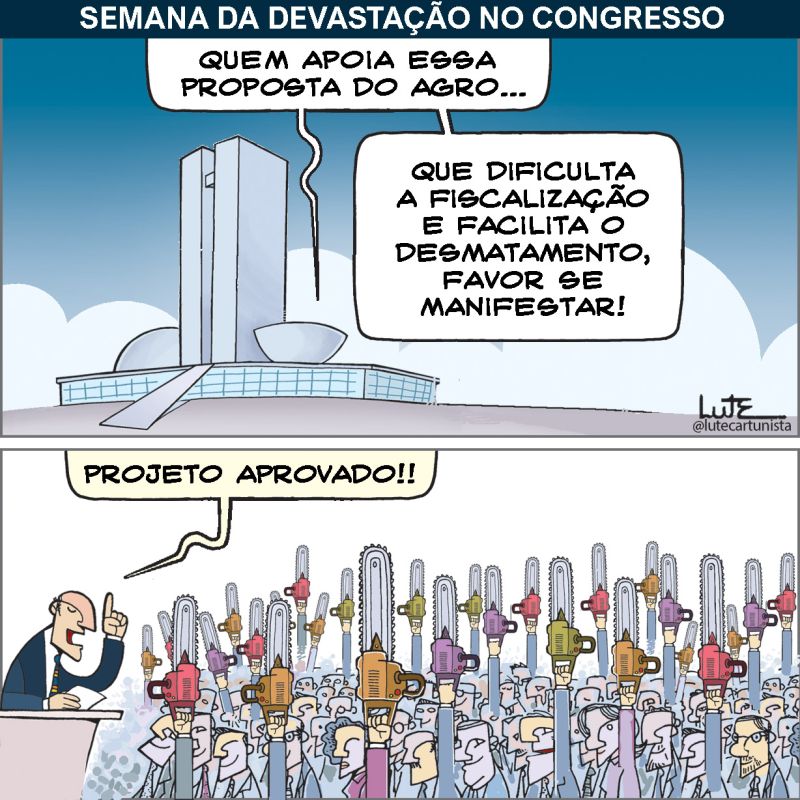 Lute