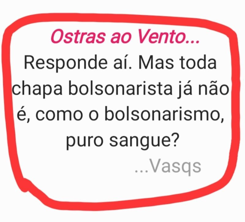 Vasqs