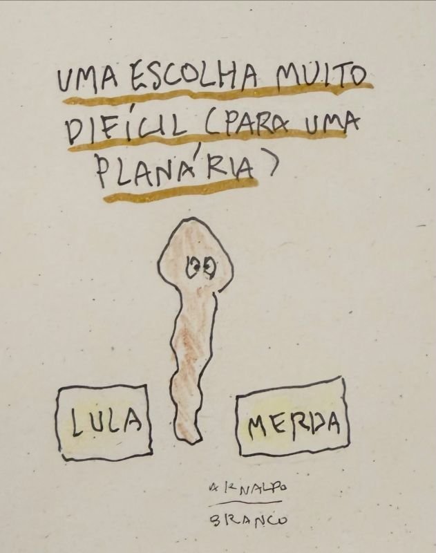 Arnaldo