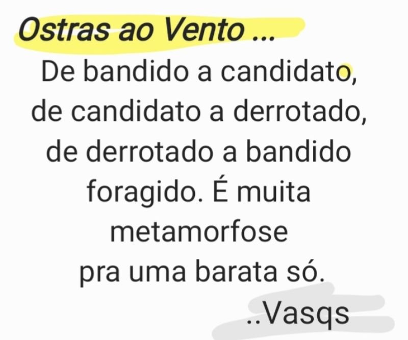 Vasqs