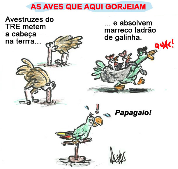 Vasqs