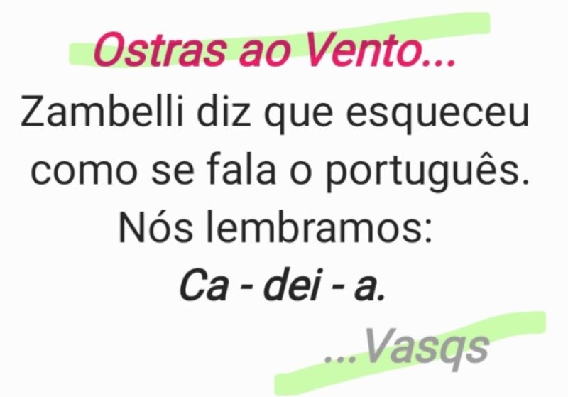 Vasqs